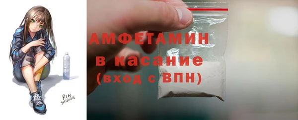 сатива Алзамай