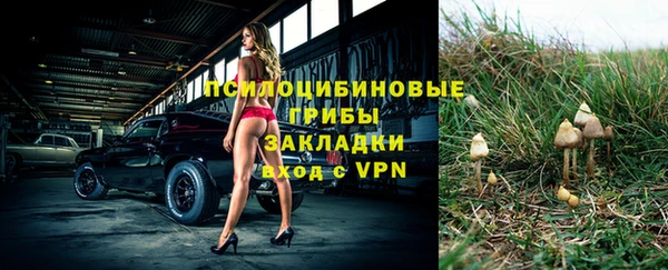 сатива Алзамай