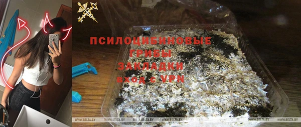 сатива Алзамай