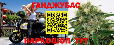 гидра Краснокаменск