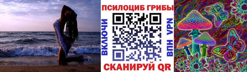 где можно купить   Благовещенск  Псилоцибиновые грибы прущие грибы 