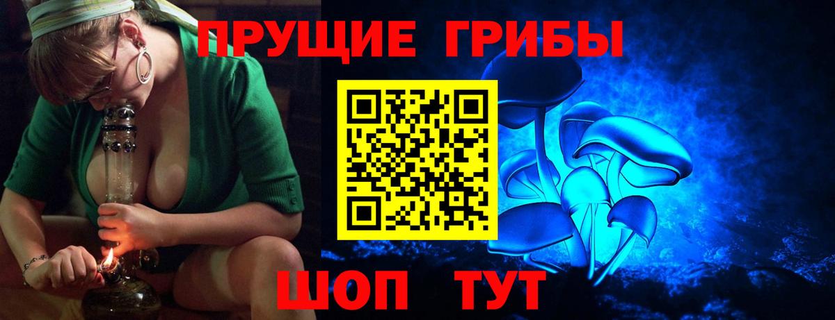 Галлюциногенные грибы Cubensis  Вход с VPN  Благовещенск  Псилоцибиновые грибы Psilocybe 